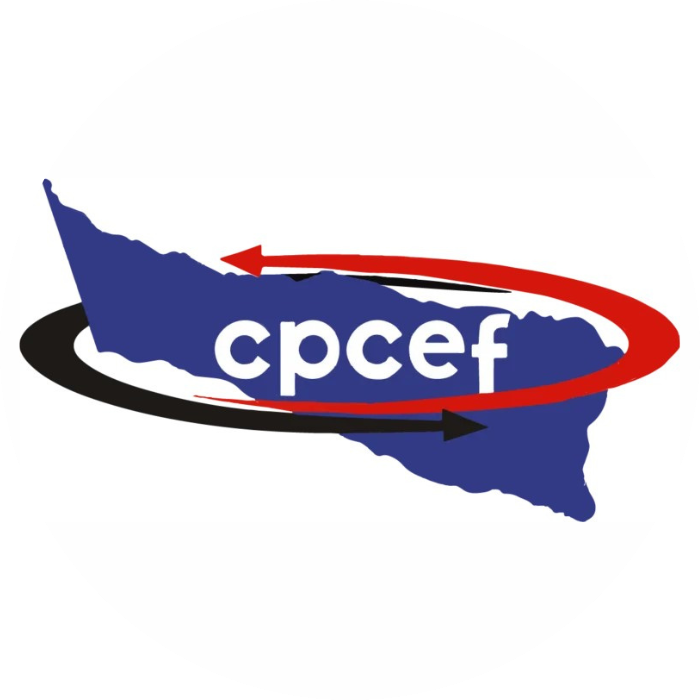 Logo 1
